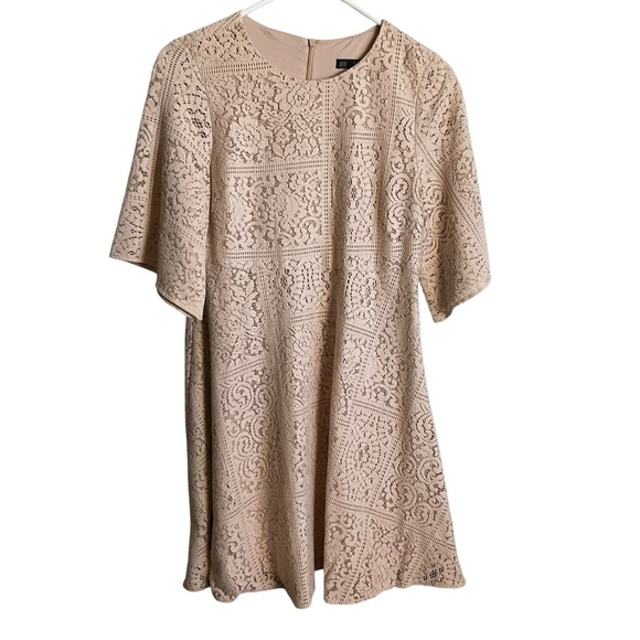 Zara Basic Collection Lace A-Line Dress Blush Nude Size XS - Picture 1 of 8